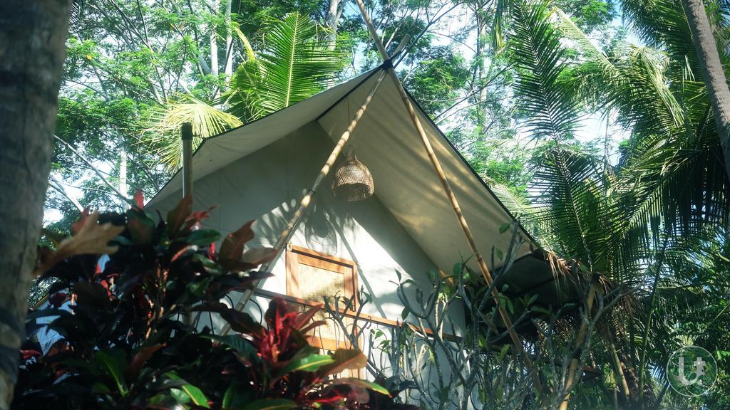Tent (4 Adults) with Balcony and Pool View