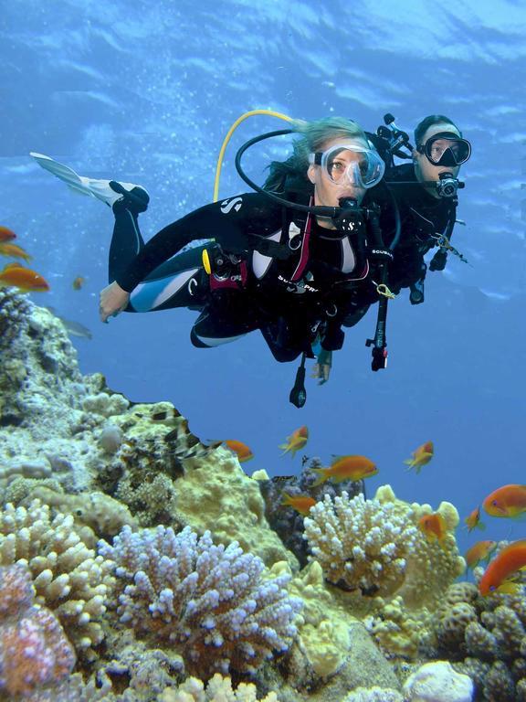 PADI Open Water Dove Course