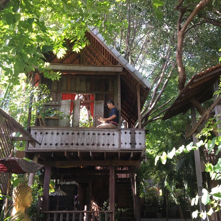 Tree House In The City with Free One Way Airport Transfer