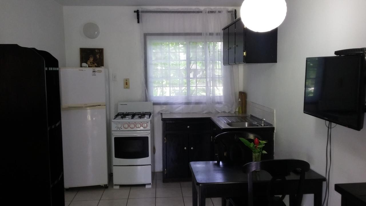 Deluxe Double or Twin Room with Garden View