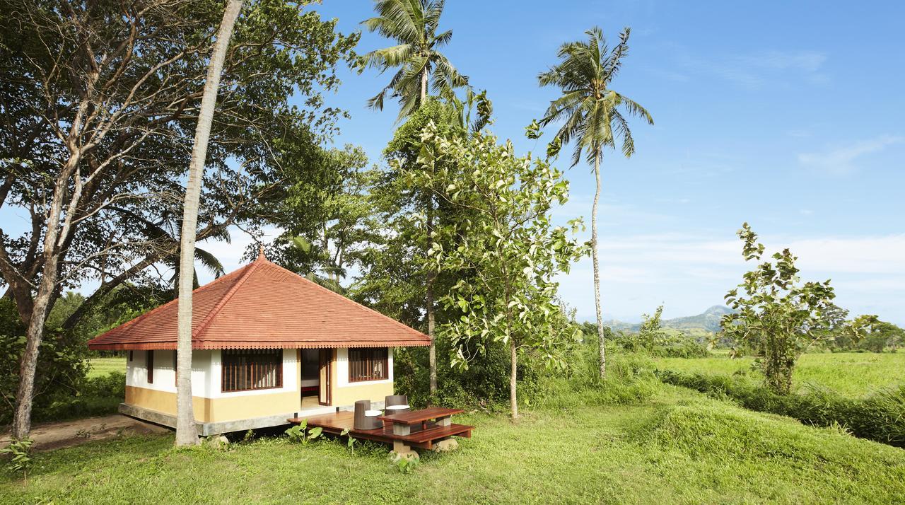 Arachchi Dwelling - Twin