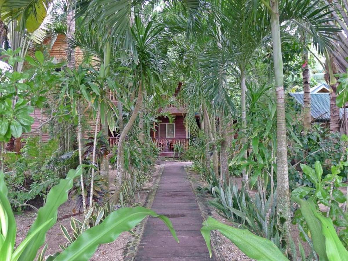 Caalan Apartment