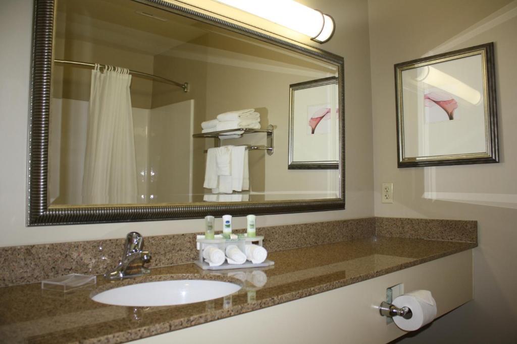 One-Bedroom King Suite