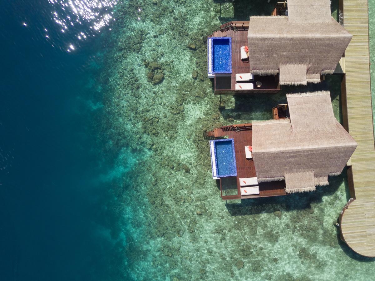 Reef Pool Water Villa