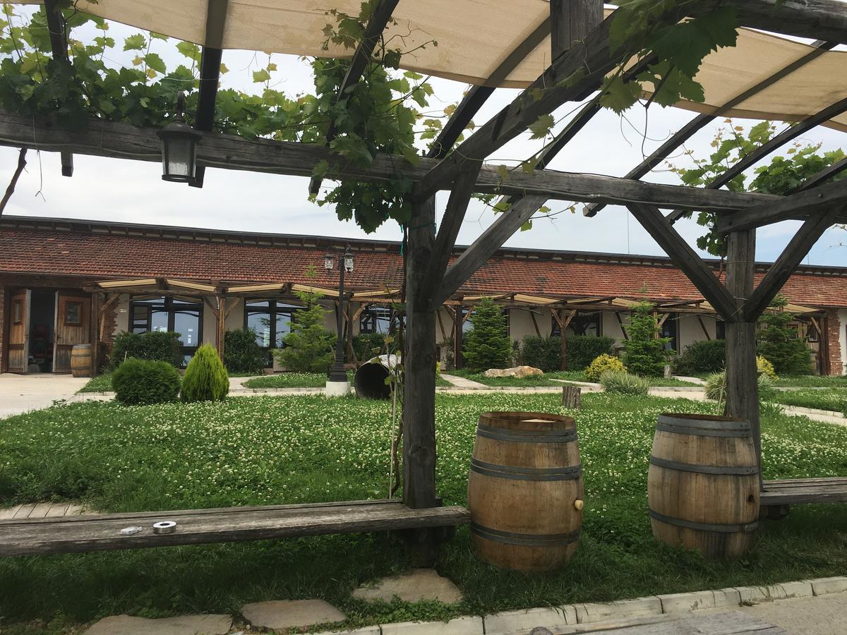 Quadruple Room with Terrace and Vineyards View