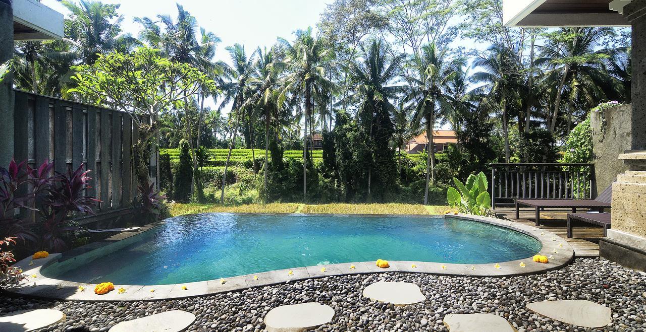 One-Bedroom Private Pool Villa