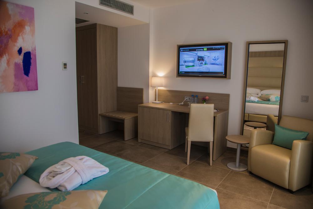 Double Room with Mountain View