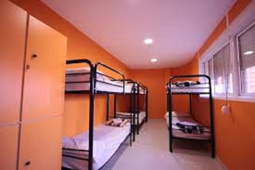 Bed in 10-Bed Mixed Dormitory Room