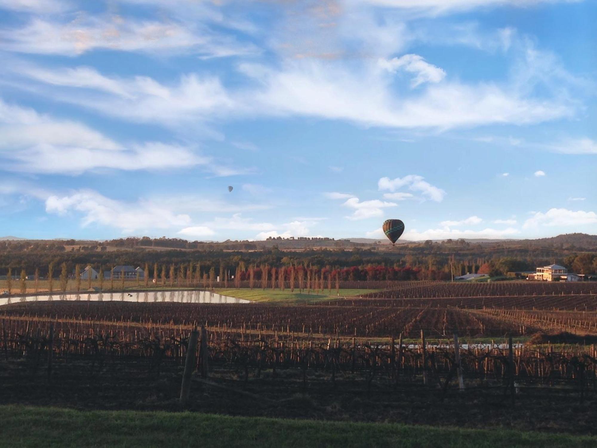 Vineyard View - Deluxe Queen Room