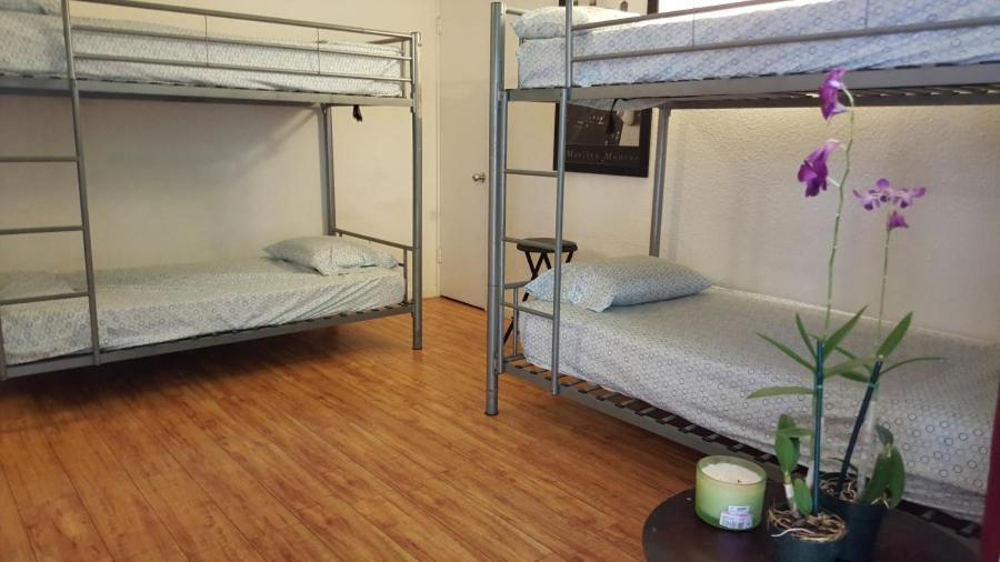 Bed in 4-Bed Female Dormitory Room