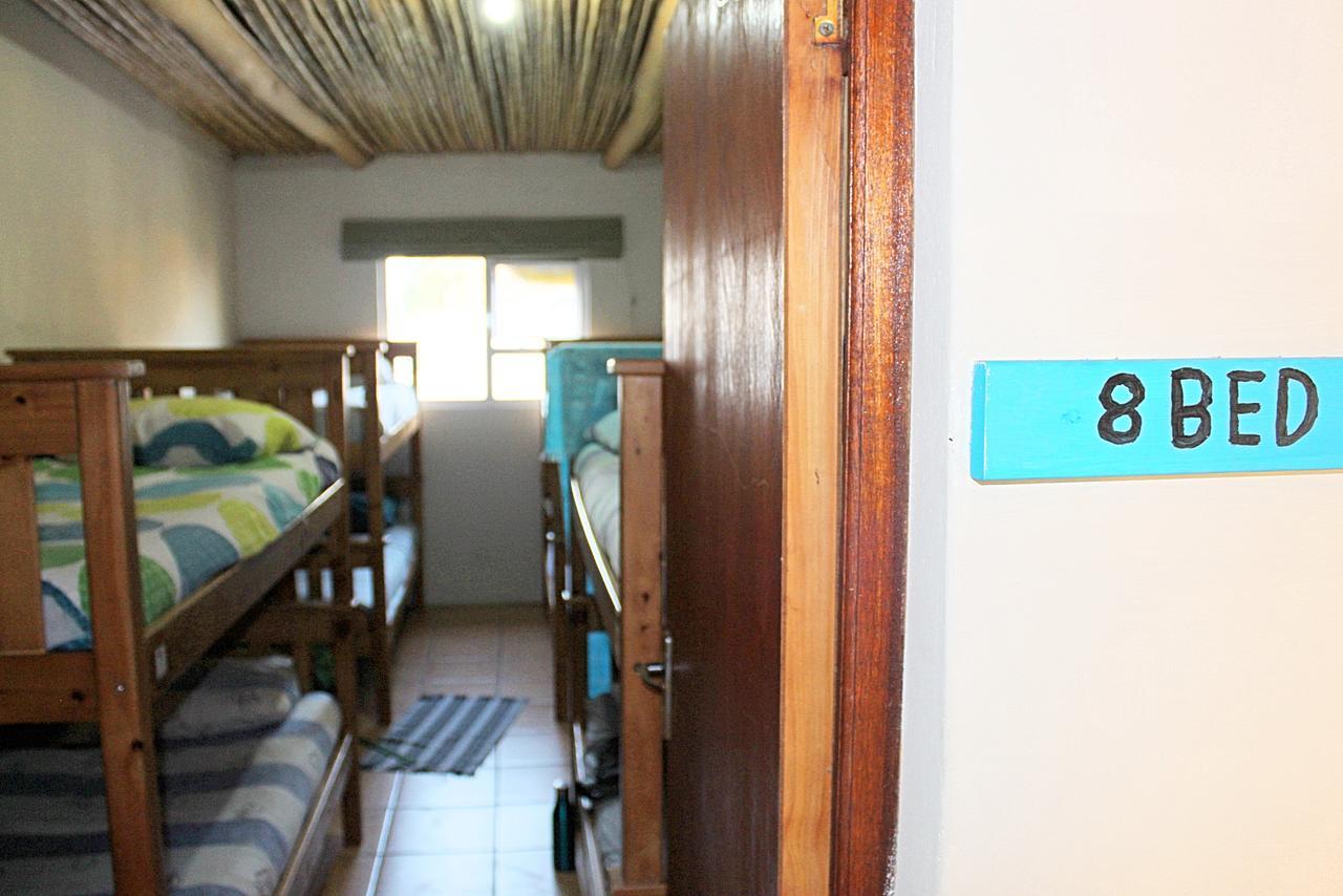 Bunk Bed in Mixed Dormitory Room
