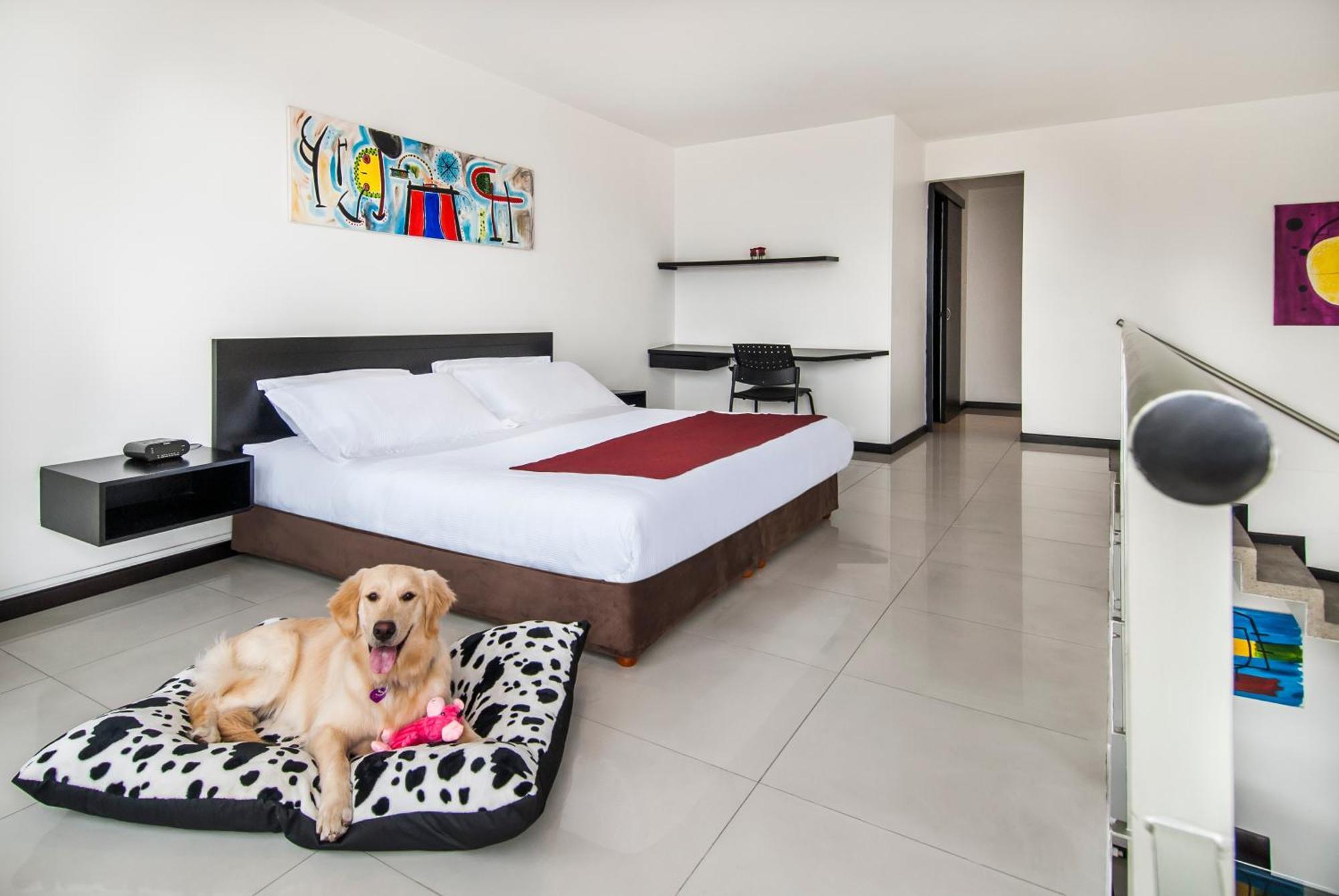 Family Apartment