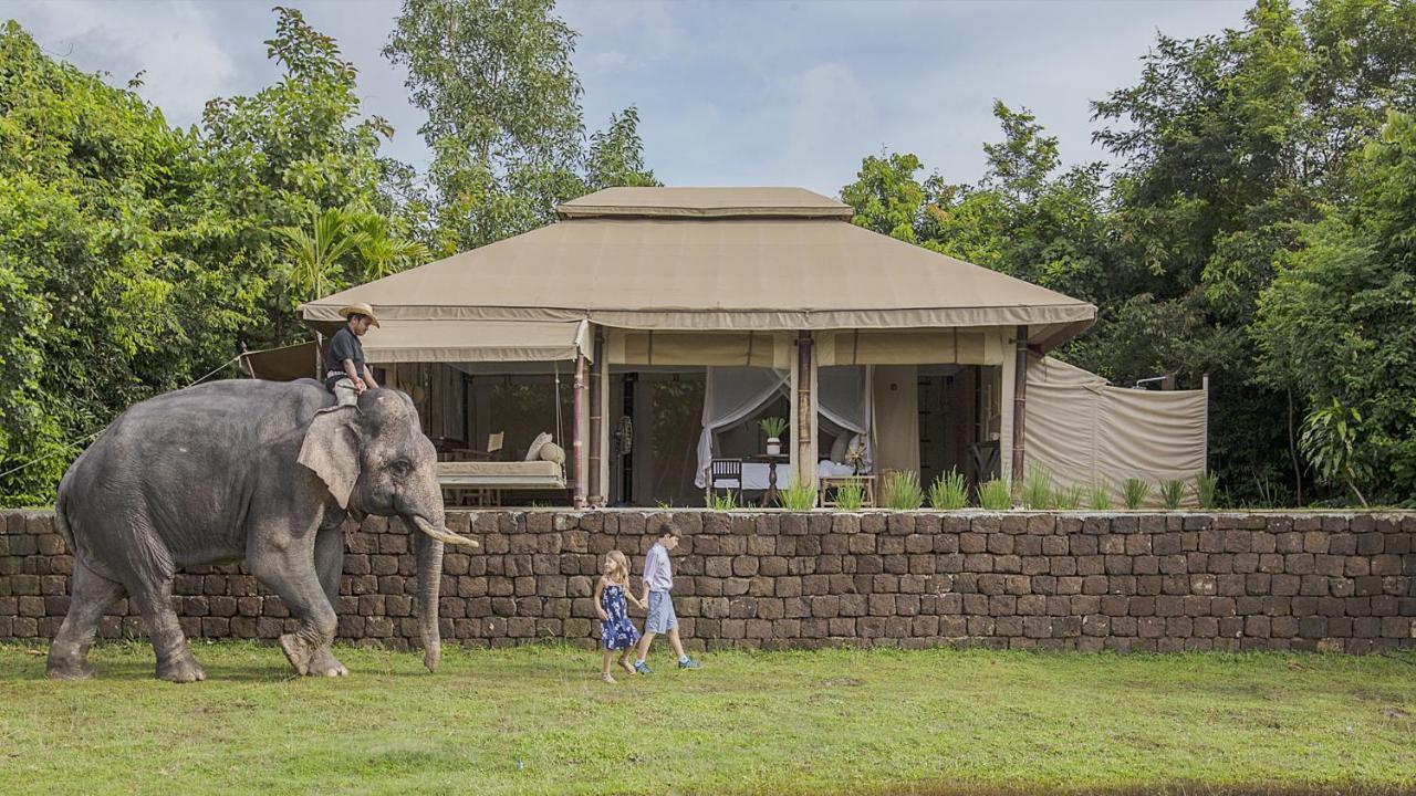 Superior Tent