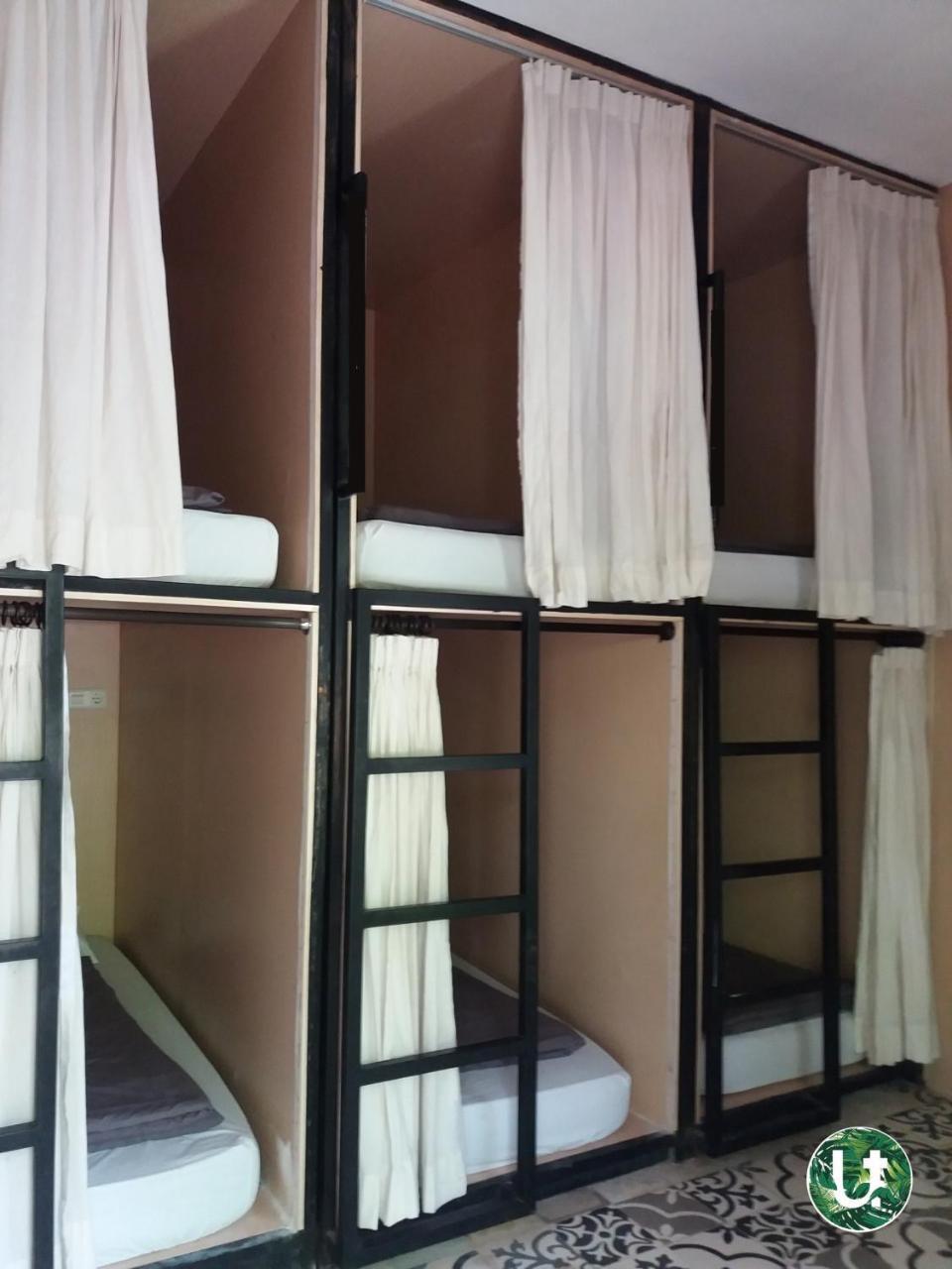 Bed in 6-Bed Female Dormitory Room