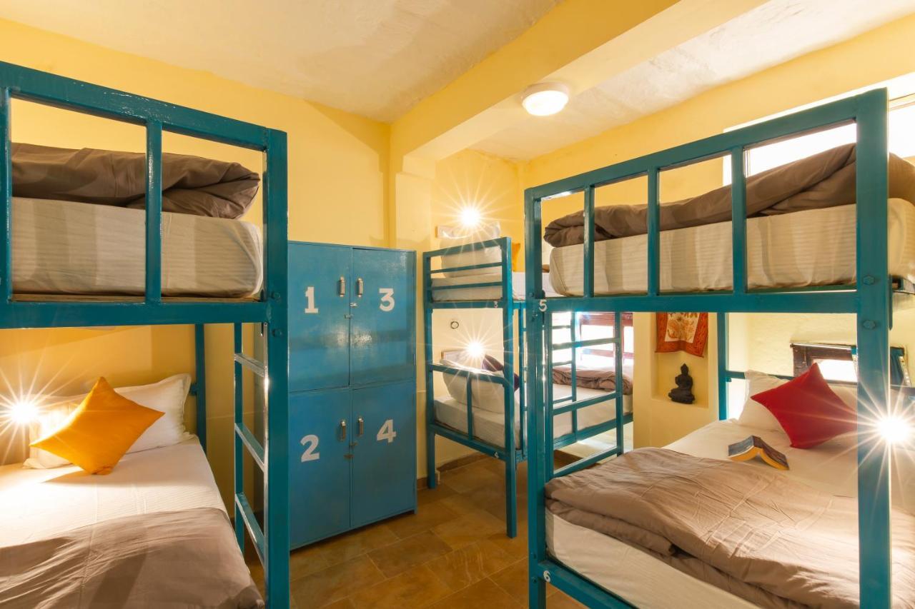 Bunk Bed in Mixed Dormitory Room