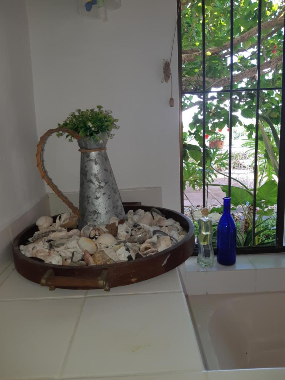 Family Room with Garden View