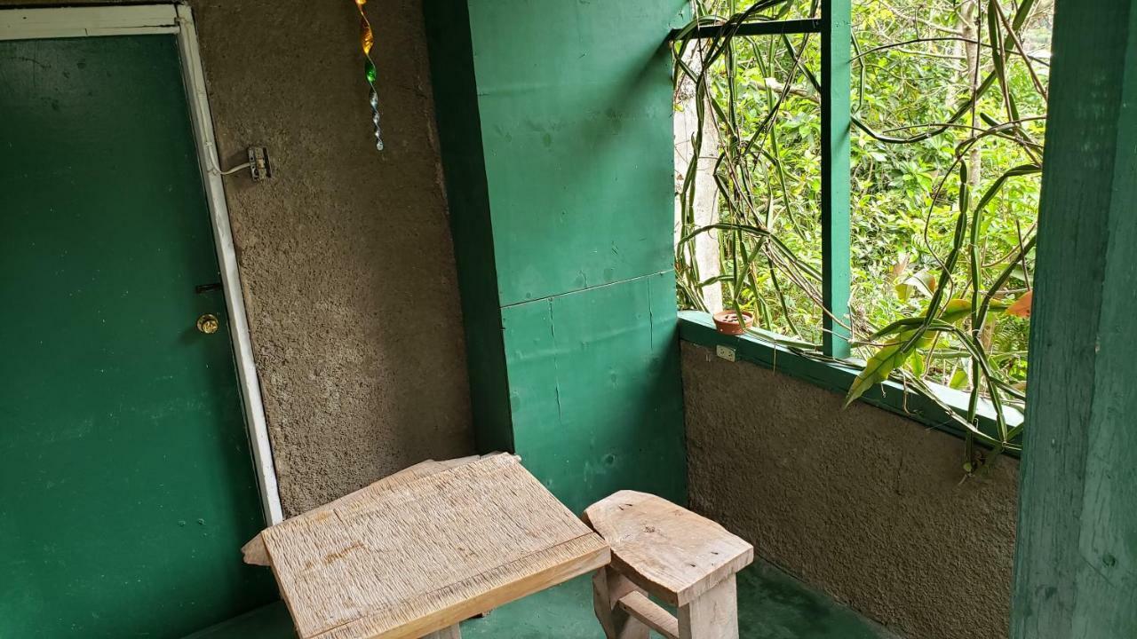 Double Room with Patio