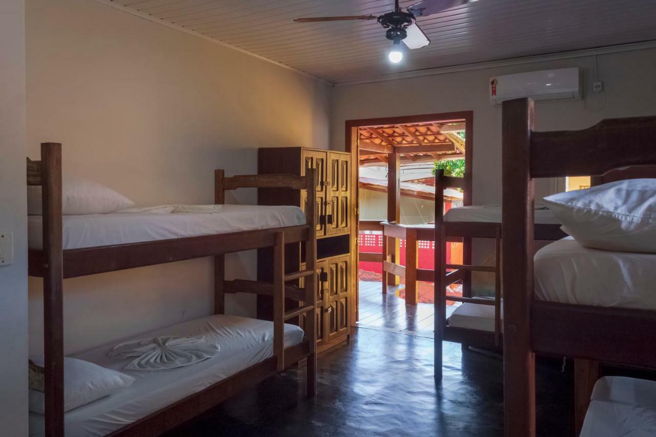 Bunk Bed in Mixed Dormitory Room