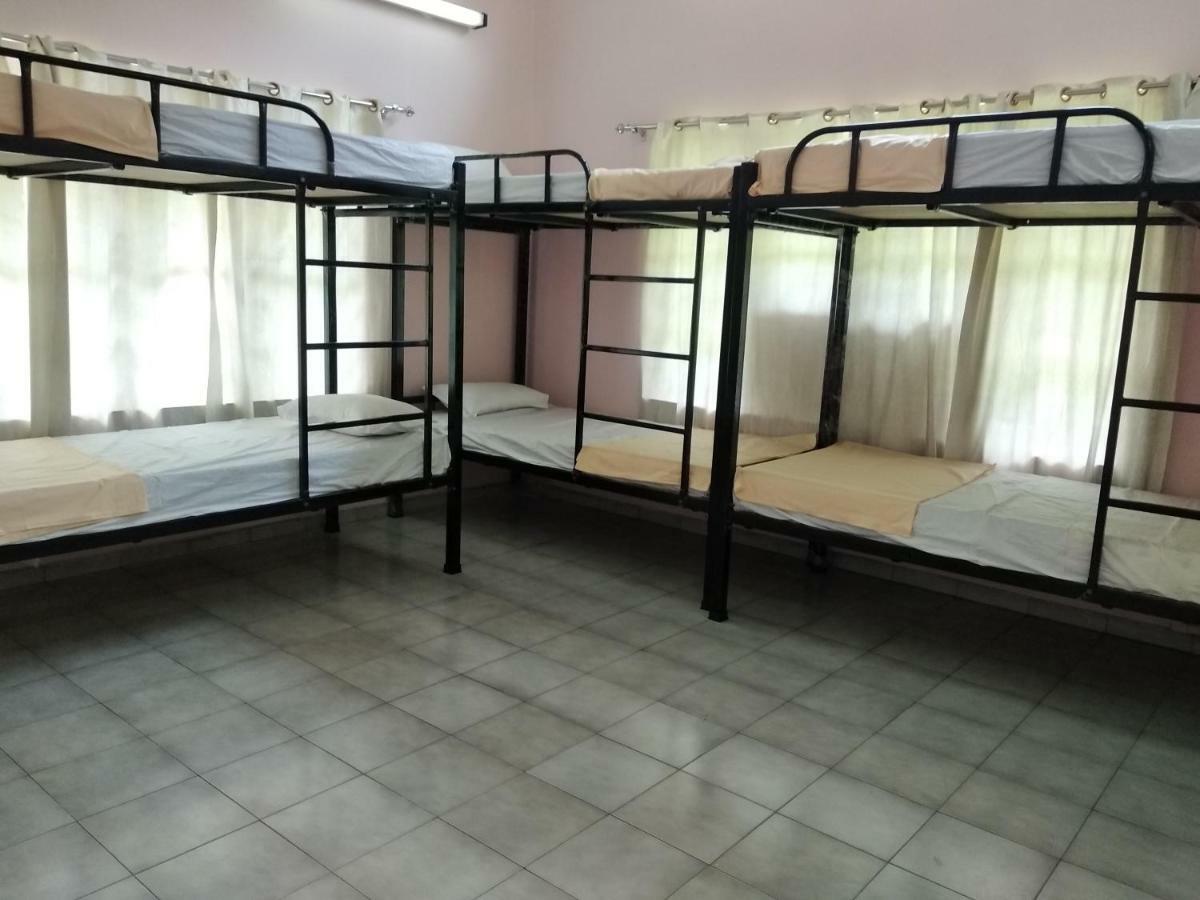 Bed in 8-Bed Mixed Dormitory Room