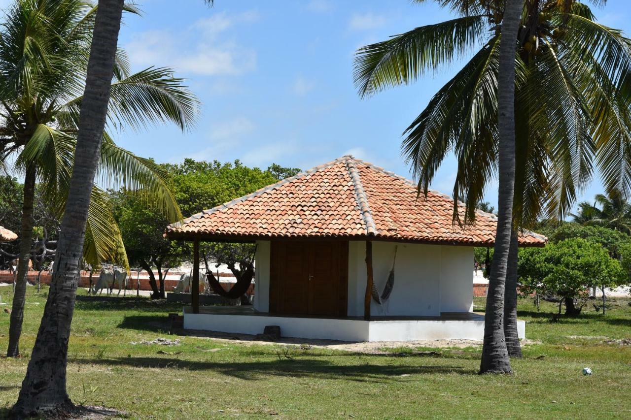 Superior Bungalow