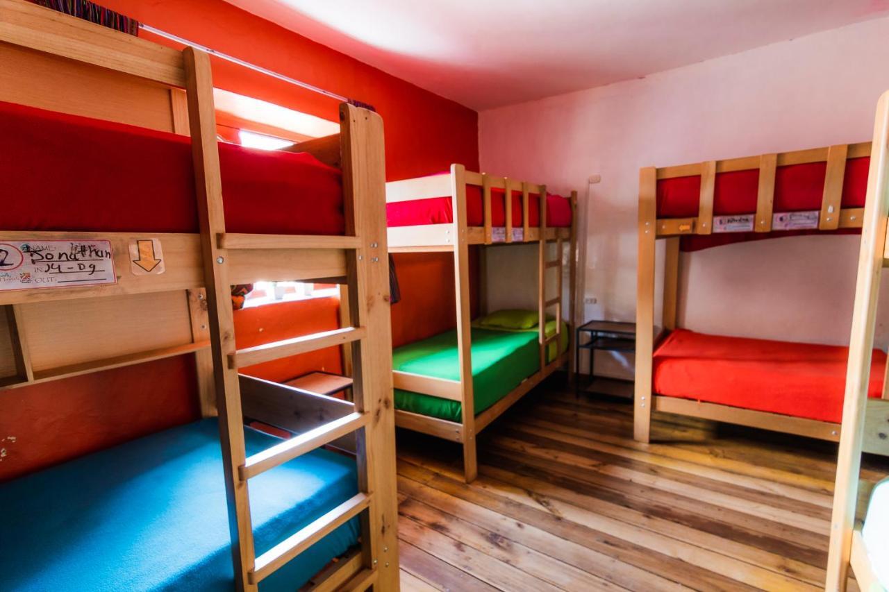 Bed in 8-Bed Dormitory Room