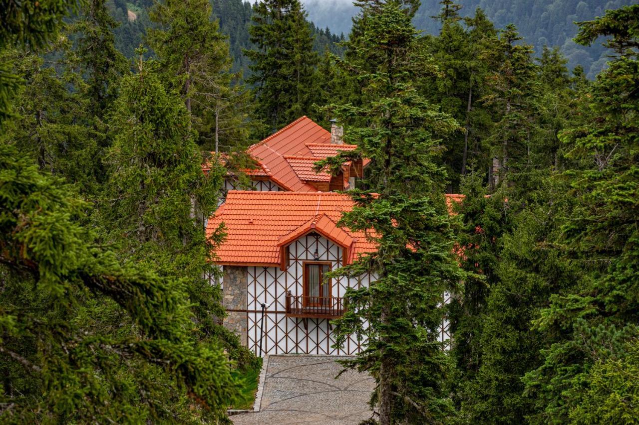 Villa with Garden View