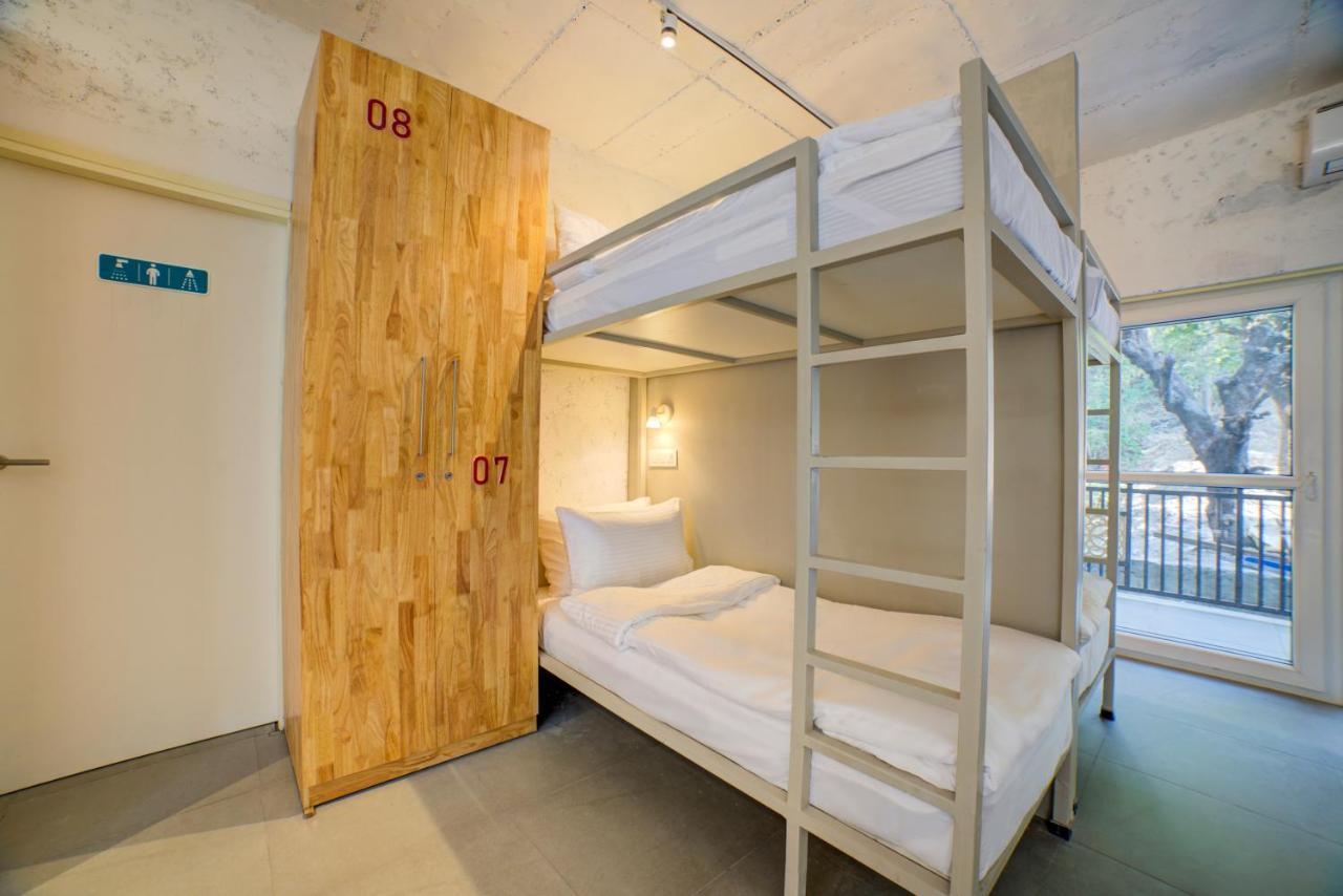 Bunk Bed in Mixed Dormitory Room