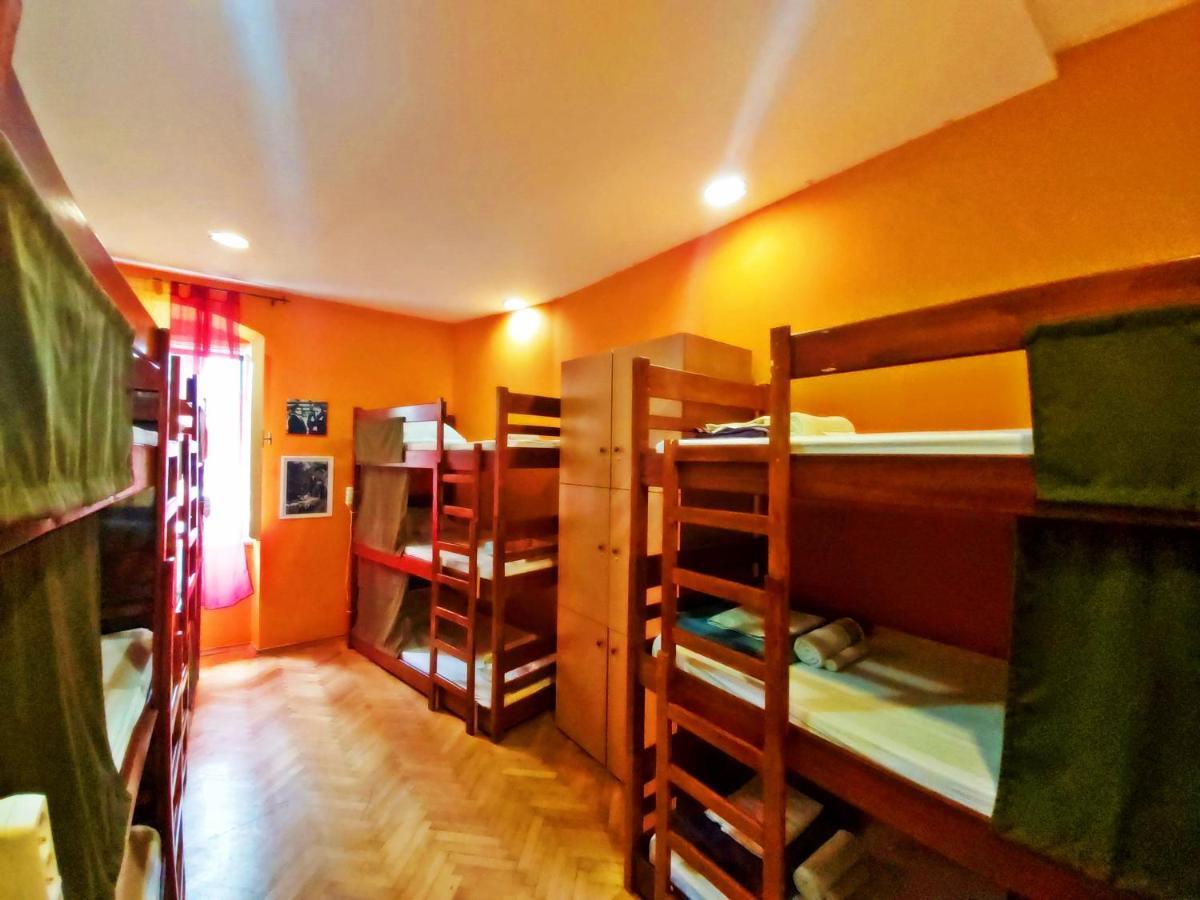 Bunk Bed in Mixed Dormitory Room
