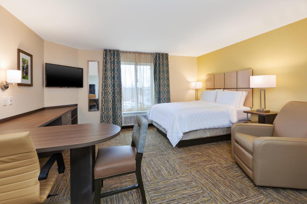 Queen Studio Suite