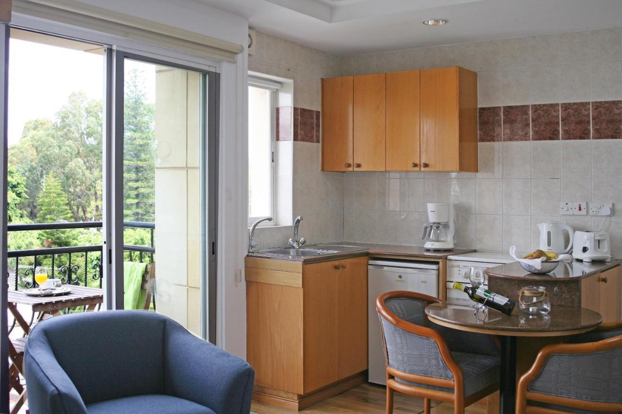 Superior Studio with Park View
