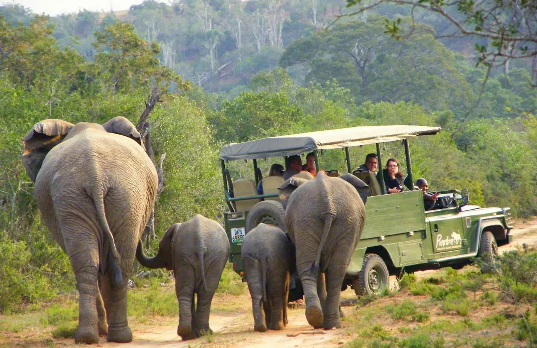 Pumba Private Game Reserve-1