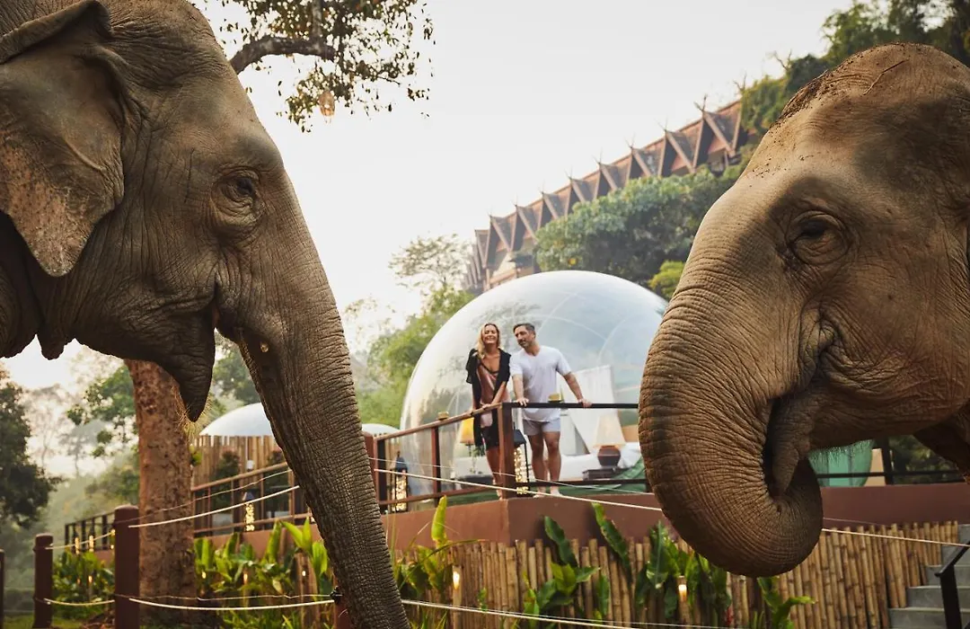 Anantara Golden Triangle Elephant Camp & Resort-1
