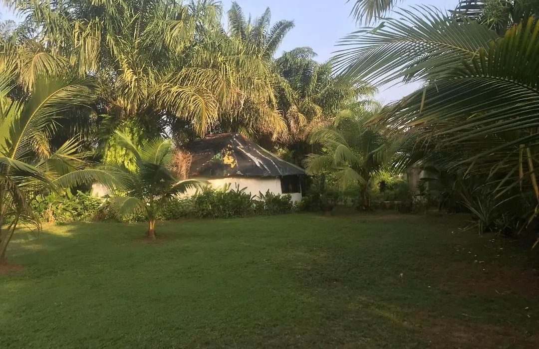 Green Zion Garden-1