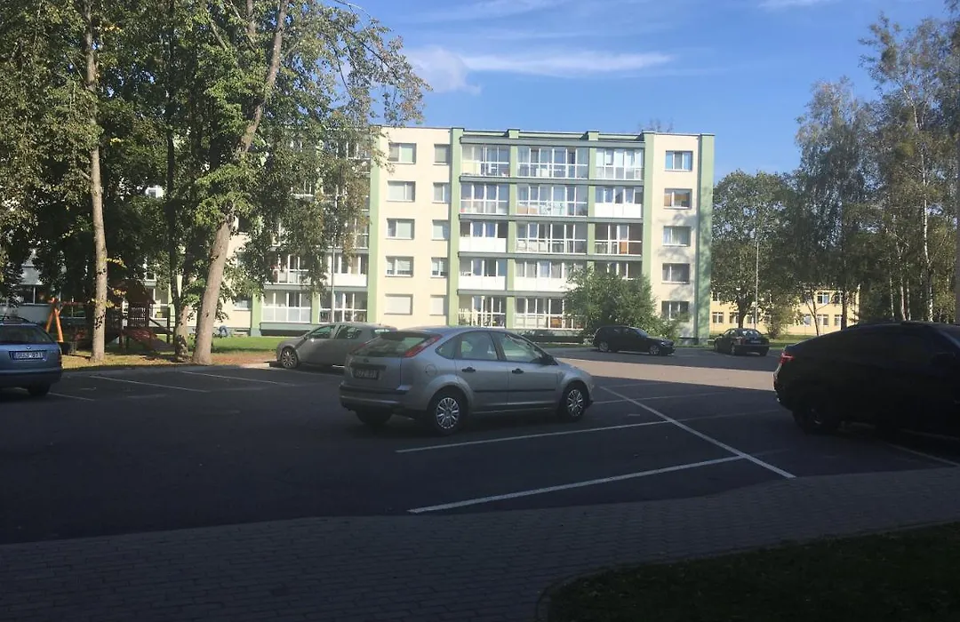 Luxury Apartment Vytauto 16-1