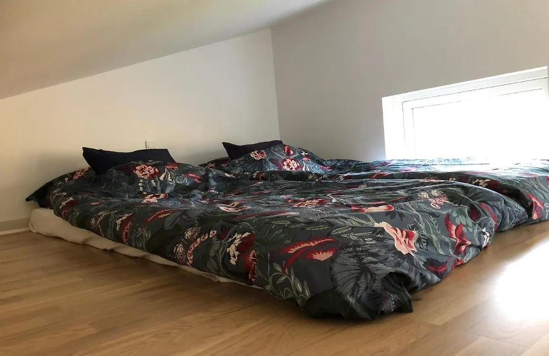 Fly B&B-1