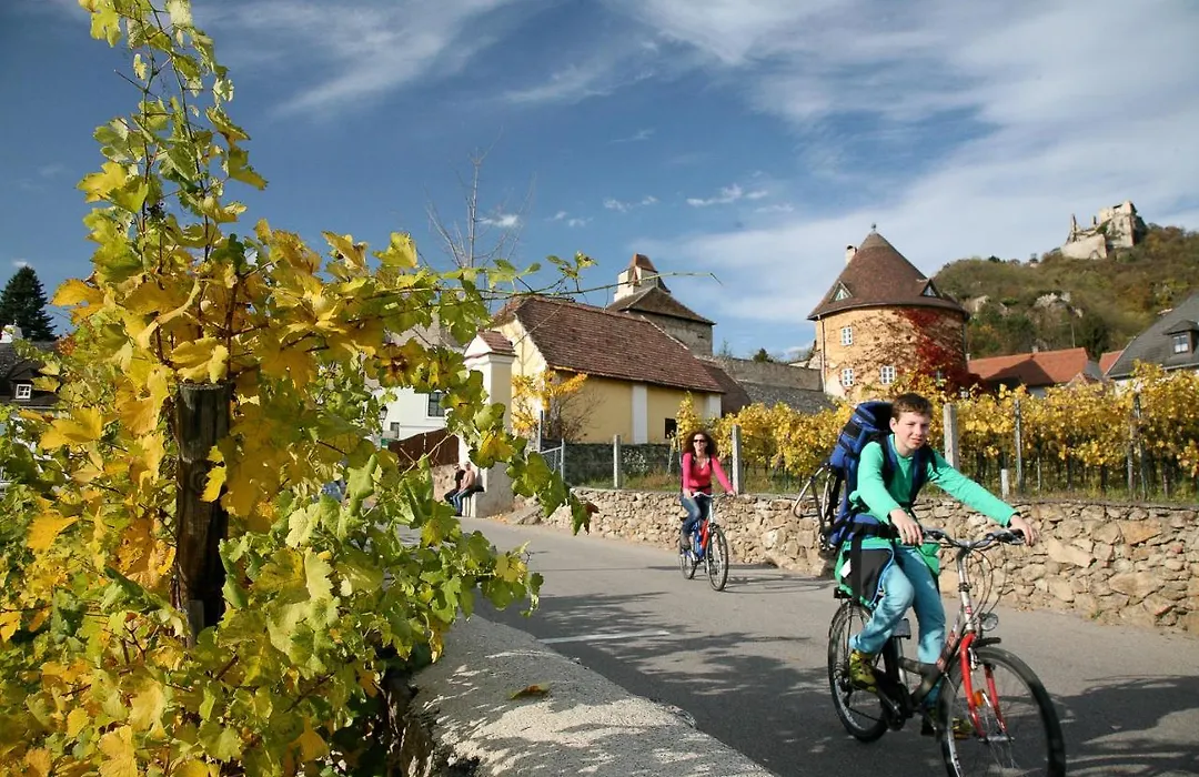 Hotel Stadt Melk-1