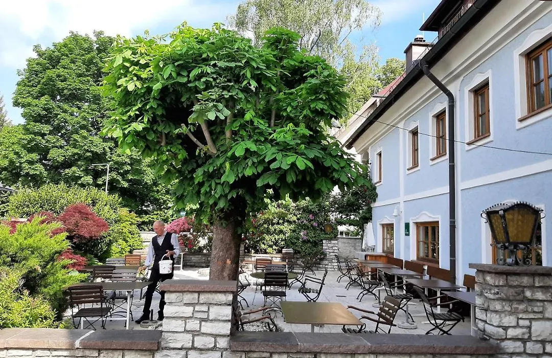 Gasthof Hotel Doktorwirt-1