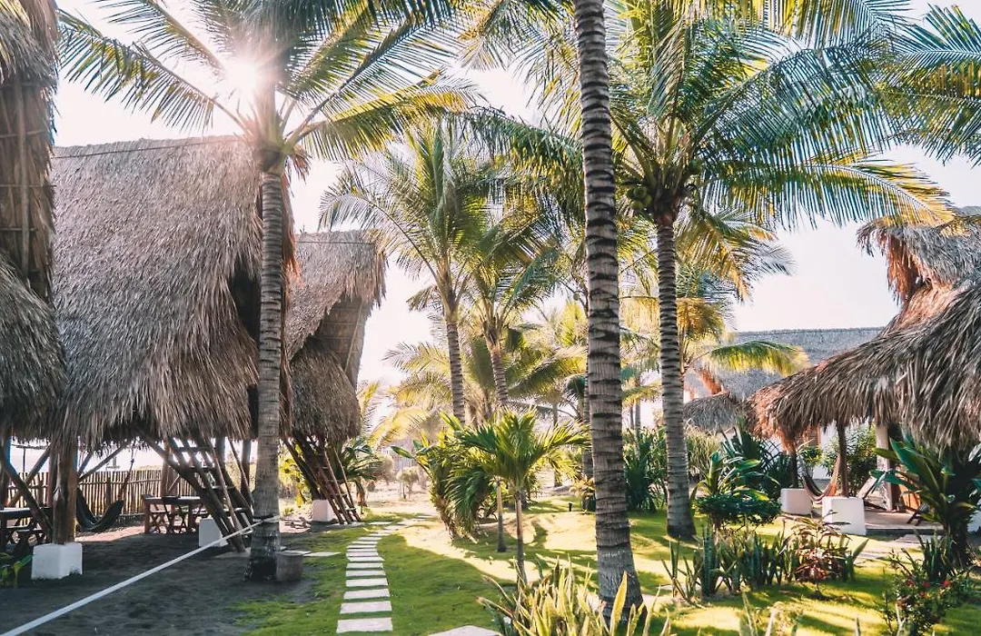 Paredon Surf House-1