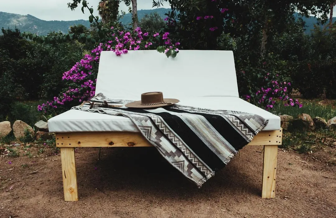 Colchagua Tiny Lodge-1