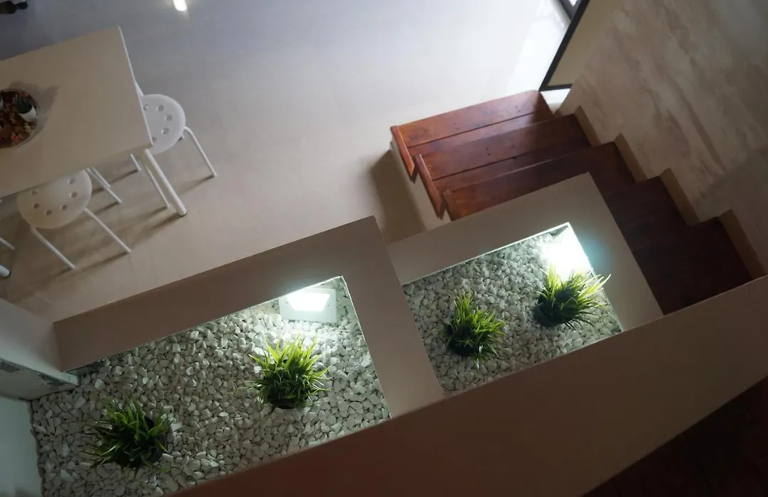 Briscola Home-1