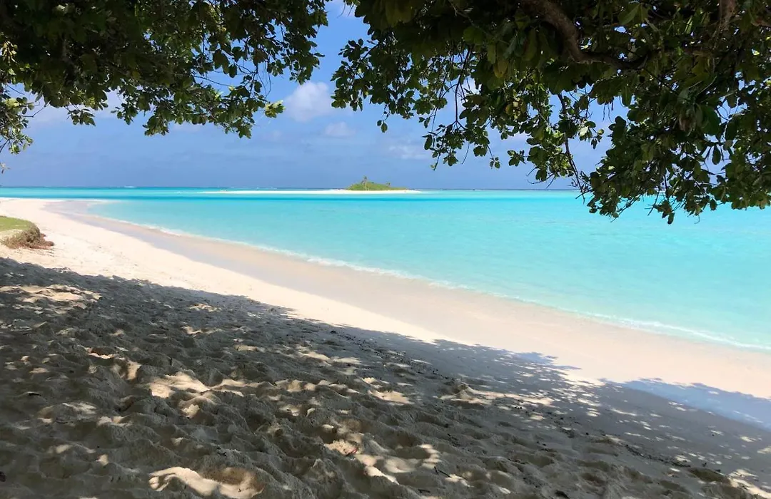 Royal Reef Stay-1