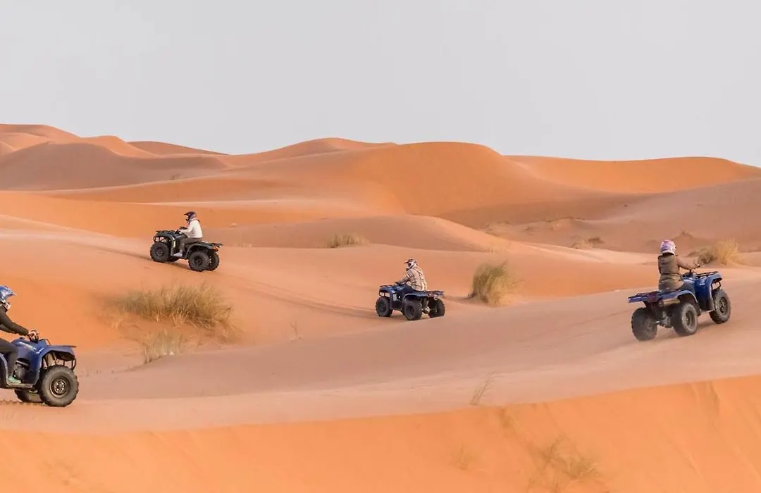 Overnight Desert Camp-1