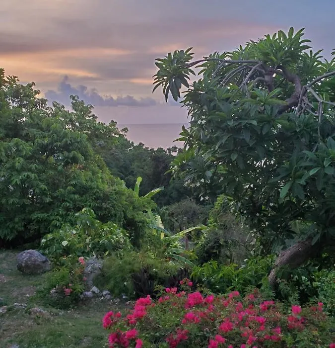 Emerald Garden-1
