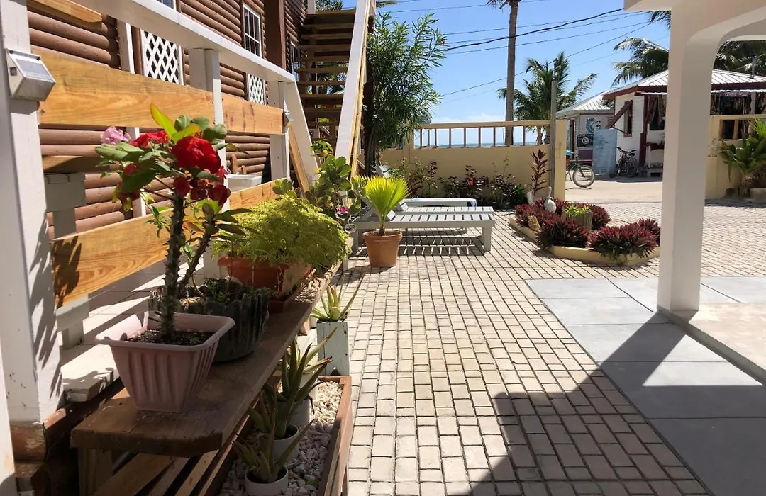 Blue Wave Guest House-1