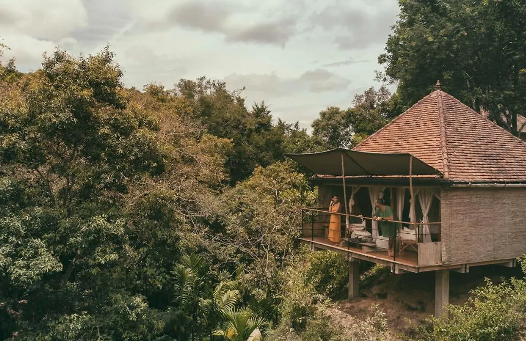 Living Heritage Koslanda-1