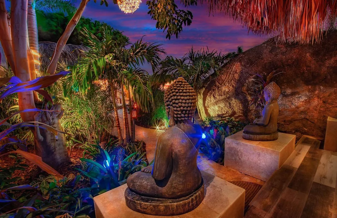 Bali Retreat Aruba -2 Pools,Cinema,Yoga,Cave-1