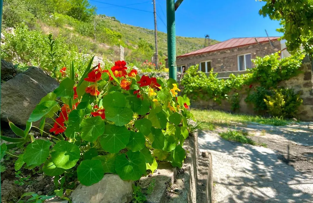Igor Bed And Breakfast-1