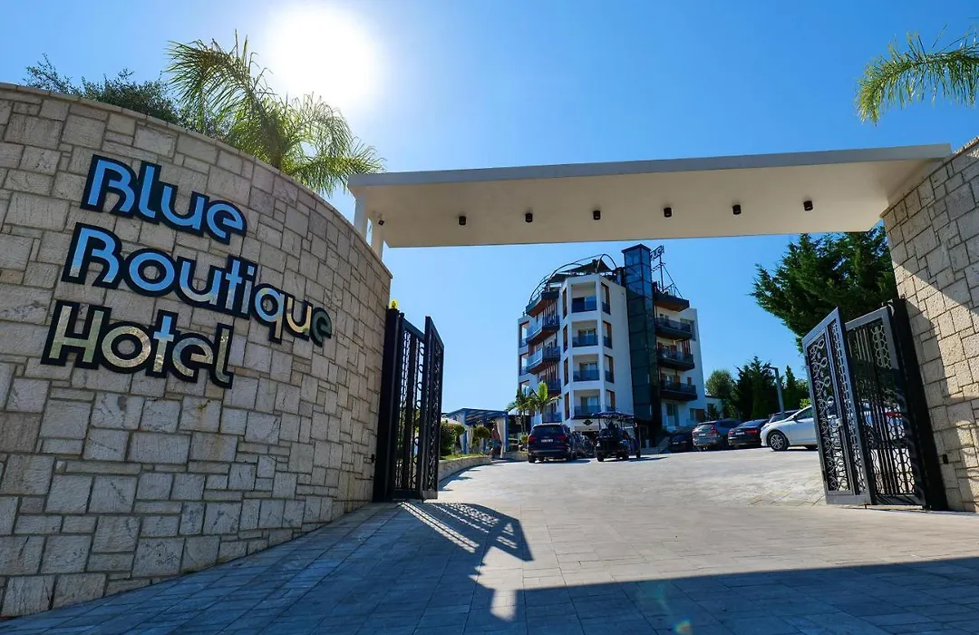 Blue Boutique Hotel-1