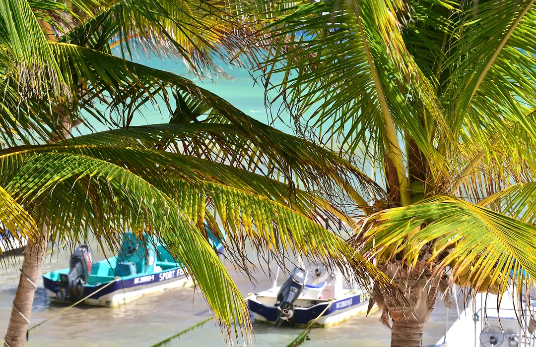 Playa Palms Beach Hotel-1