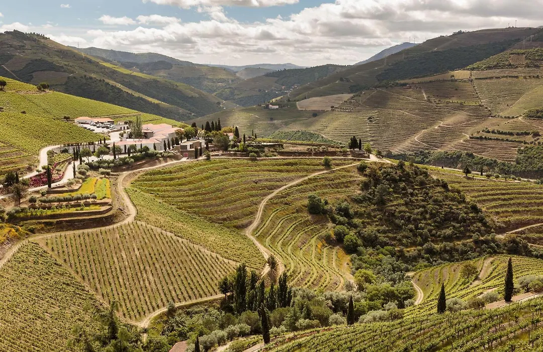 Quinta Nova Winery House - Relais & Chateaux-1